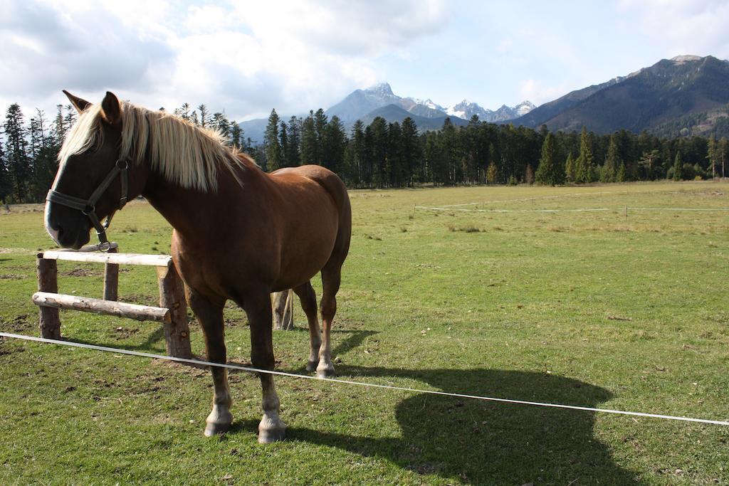 Penzion Koliba Vysoké Tatry Exteriör bild