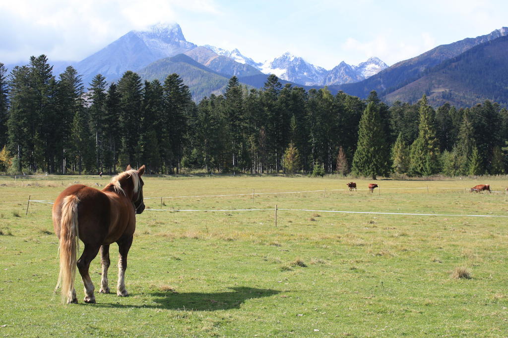 Penzion Koliba Vysoké Tatry Exteriör bild